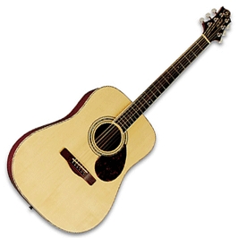GregBennett D5 - Акустическая гитара GregBennett D5 - Акустическая гитара