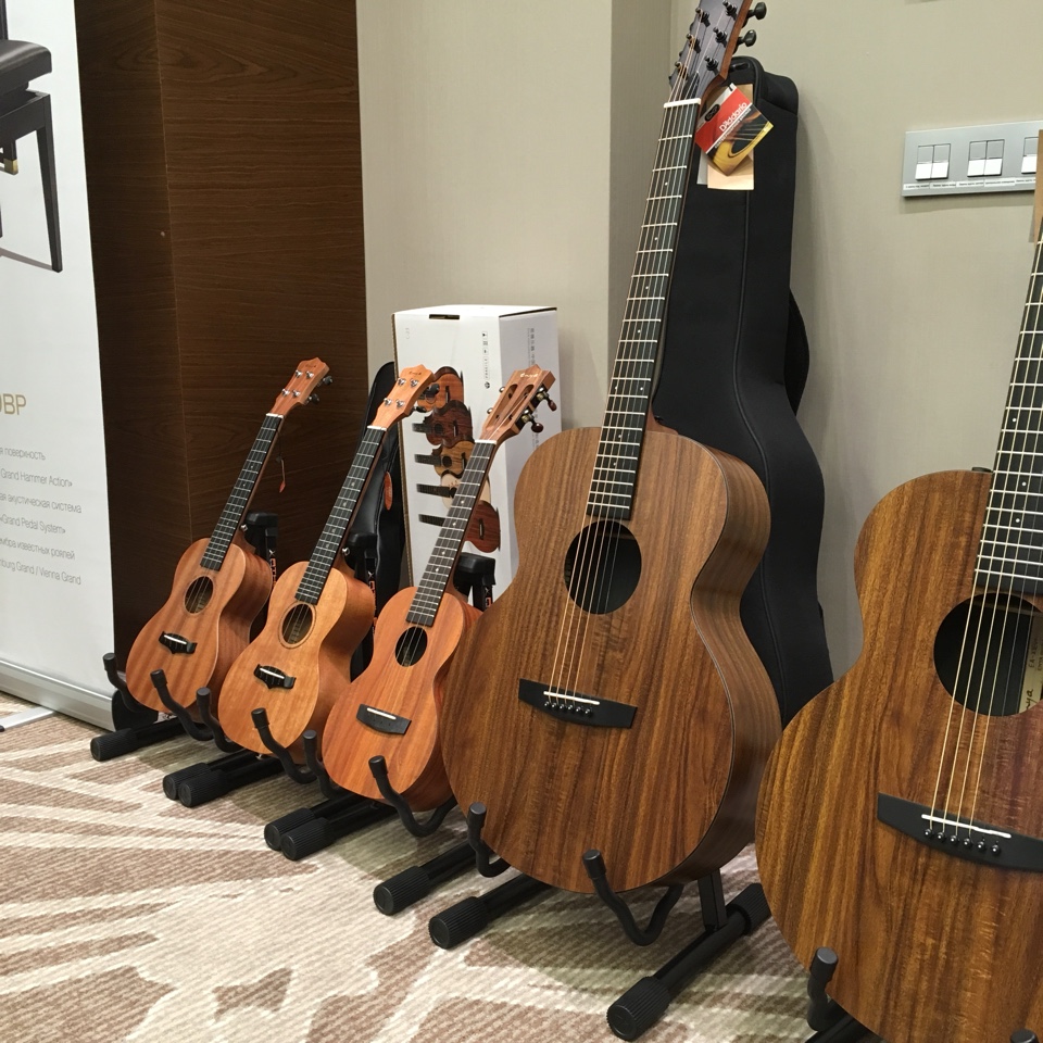 Александр Степанов рассказал о новинках Sigma Guitars