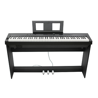 Beisite S-262 Pro BK - компактное цифровое пианино, цвет черный Beisite S-262 Pro BK - компактное цифровое пианино, цвет черный