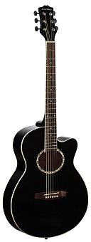 COLOMBO LF-401 C / BK - акустическая гитара COLOMBO LF-401 C / BK - акустическая гитара