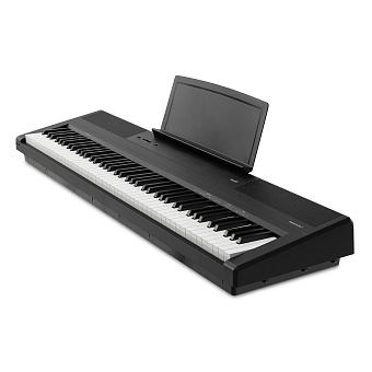 Emotive Hammerpiano 1 BK - цифровое фортепиано, 88 клавиш, цвет черный