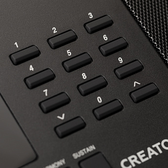 ROCKDALE Creator 2 - синтезатор с автоаккомпанементом, 61 клавиша ROCKDALE Creator 2 - синтезатор с автоаккомпанементом, 61 клавиша