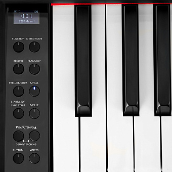 MUZPLANET YDP‑145B - цифровое пианино MUZPLANET YDP‑145B - цифровое пианино