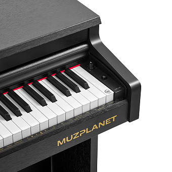 MUZPLANET YDP‑145B - цифровое пианино MUZPLANET YDP‑145B - цифровое пианино