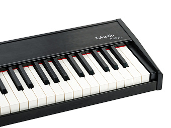 LAudio P-88-PRO MIDI-контроллер, 88 клавиш