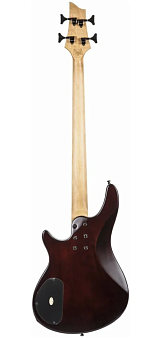 Schecter SGR C-4 BASS MSBK Бас-гитара электрическая