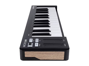 Arturia MicroLab 3 Black - MIDI клавиатура 25 клавиш