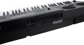 CASIO WK-6600 Синтезатор, 76 кл CASIO WK-6600 Синтезатор, 76 кл
