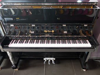 Don Music DM-120BL Пианино акустическое, цвет черный Don Music DM-120BL Пианино акустическое, цвет черный