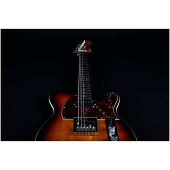 JET JT-350 SB R - электрогитара шестиструнная JET JT-350 SB R - электрогитара шестиструнная