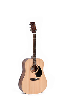 Ditson D-10 Гитара акустическая