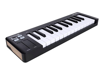 Arturia MicroLab 3 Black - MIDI клавиатура 25 клавиш