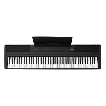 Emotive Hammerpiano 1 BK - цифровое фортепиано, 88 клавиш, цвет черный