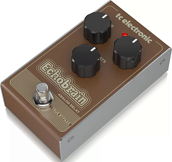 TC Electronic ECHOBRAIN ANALOG DELAY - педаль эффектов, дилей