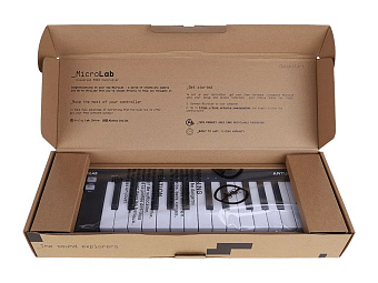 Arturia MicroLab 3 Black - MIDI клавиатура 25 клавиш