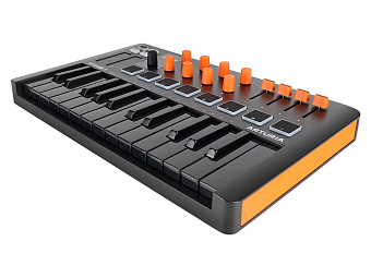 Arturia MiniLAB 3 Orange  Edition - MIDI клавиатура 
