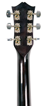 COLOMBO LF-3800 CT / GS - акустическая гитара COLOMBO LF-3800 CT / GS - акустическая гитара