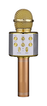 FunAudio G-800 Gold Беспроводной микрофон FunAudio G-800 Gold Беспроводной микрофон