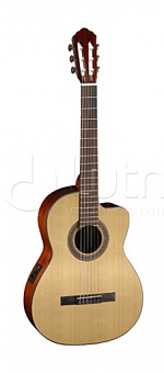 Parkwood PC110 Электро-акустическая гитара, с вырезом Parkwood PC110 Электро-акустическая гитара, с вырезом