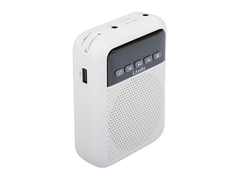 LAudio WS-VA030 Переносной громкоговоритель для гида, 5Вт LAudio WS-VA030 Переносной громкоговоритель для гида, 5Вт